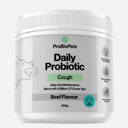 Cough Remedy Probiotic For Pets