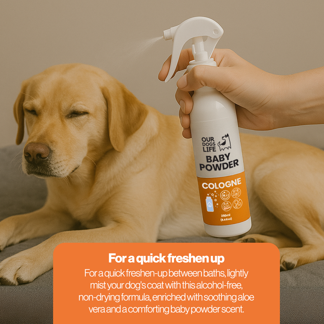 Baby Powder Scented Dog Spray 250ml