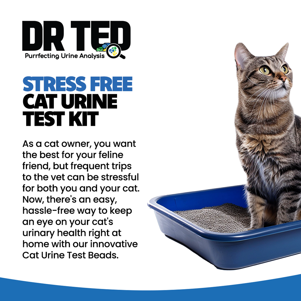 Dr Ted Cat Urine Test Kit Hematuria / Blood Detector | Buy Now ...