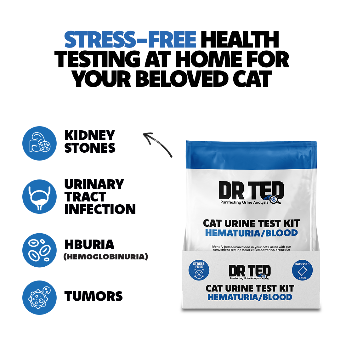 Dr Ted Cat Urine Test Kit Hematuria / Blood Detector 5 Packs