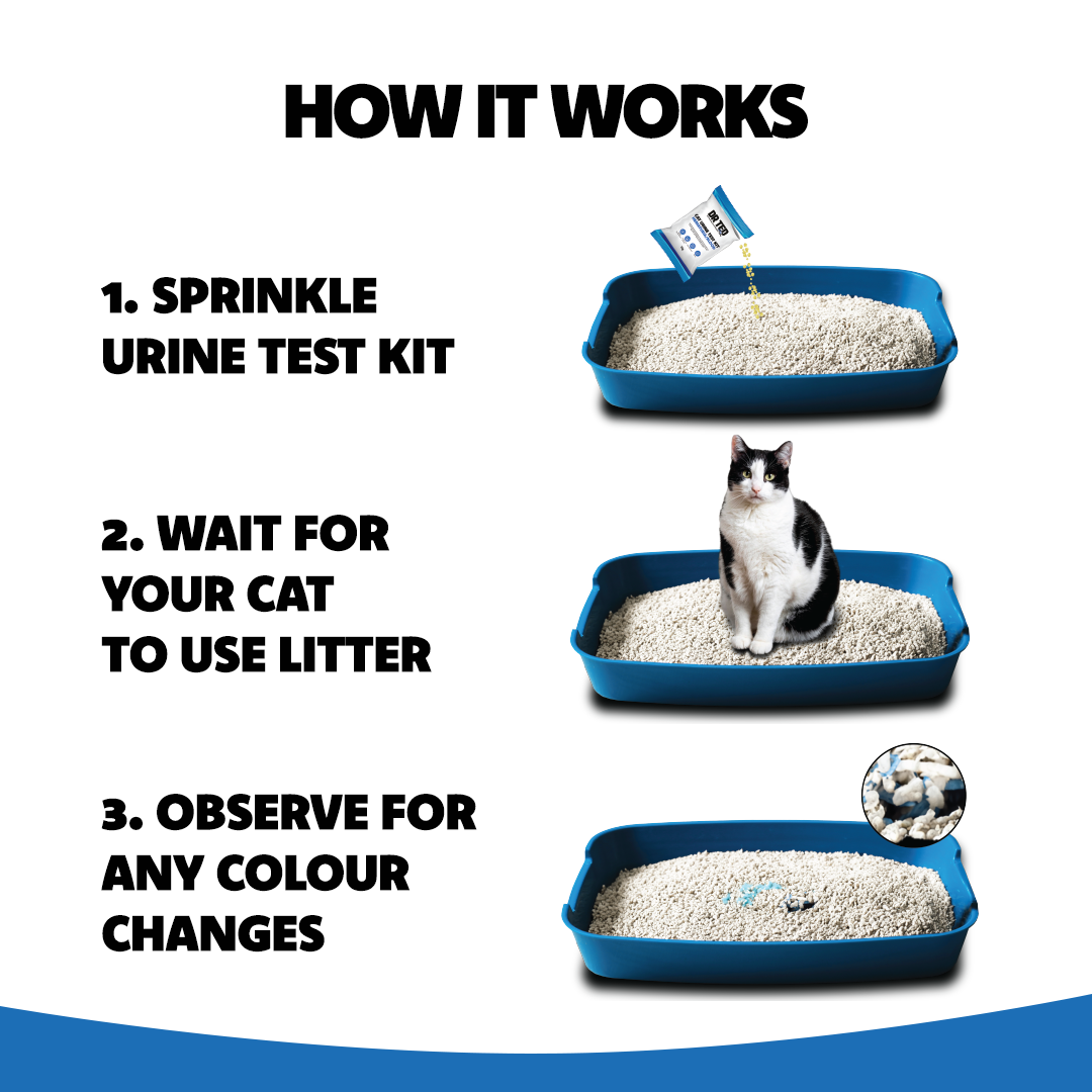 Dr Ted Cat Urine Test Kit Hematuria / Blood Detector 5 Packs