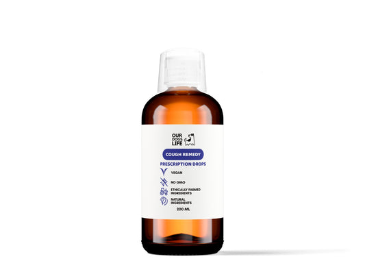Kennel Cough Treatment for Dogs