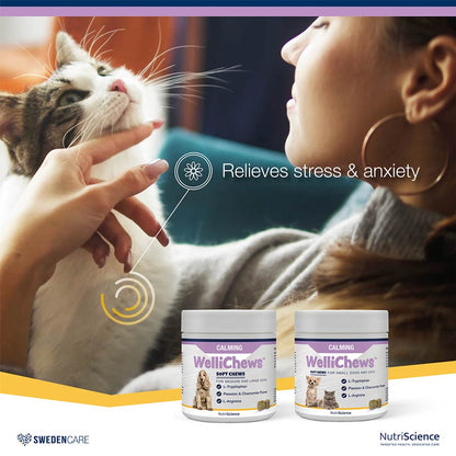 Wellichews Calming Soft Chews for Medium/Large Dogs