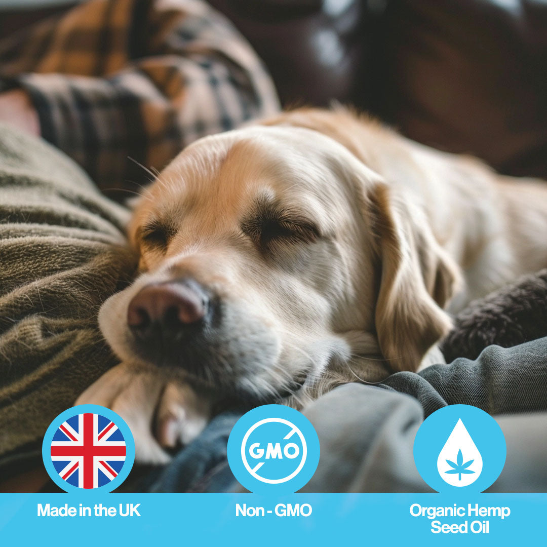 Calming Hemp Oil For Pets