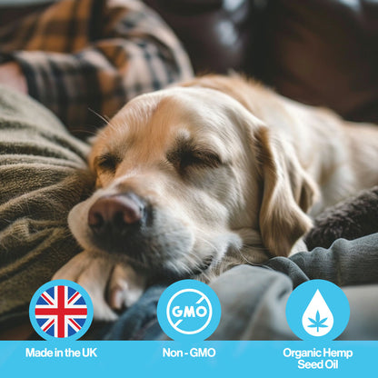 Calming Hemp Oil For Pets