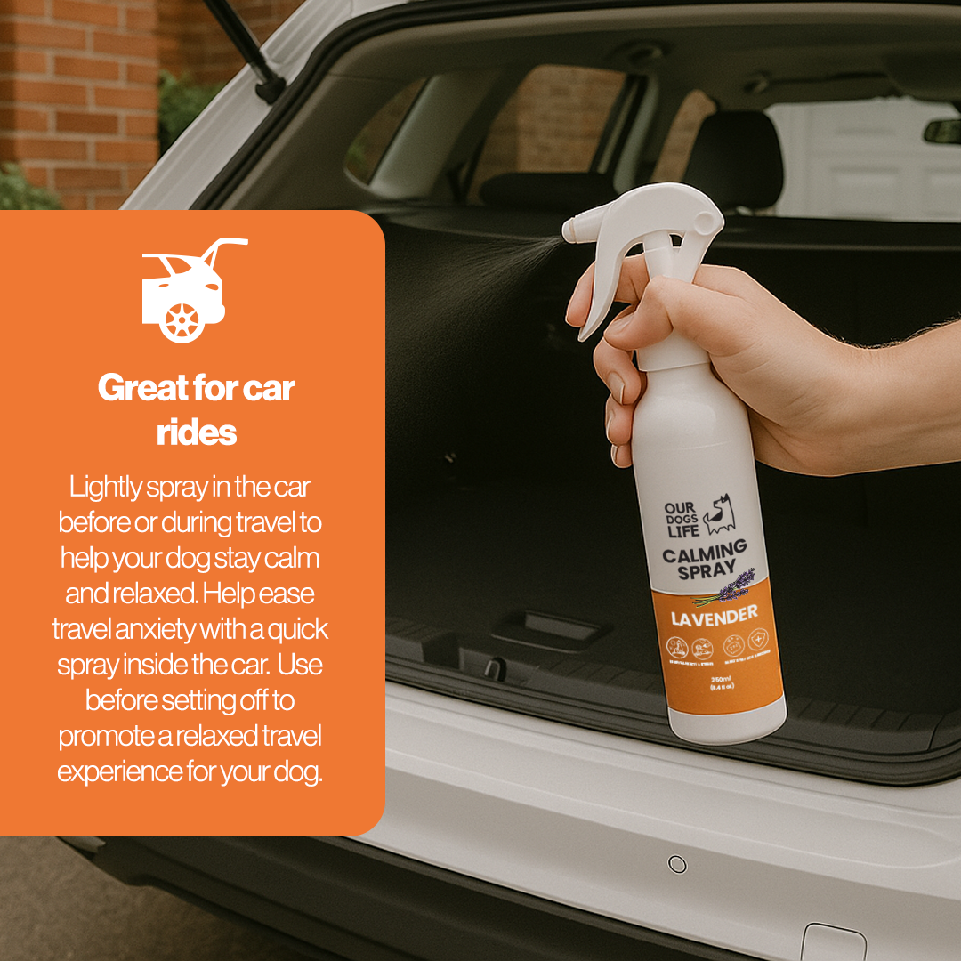 Calming Spray for Dogs