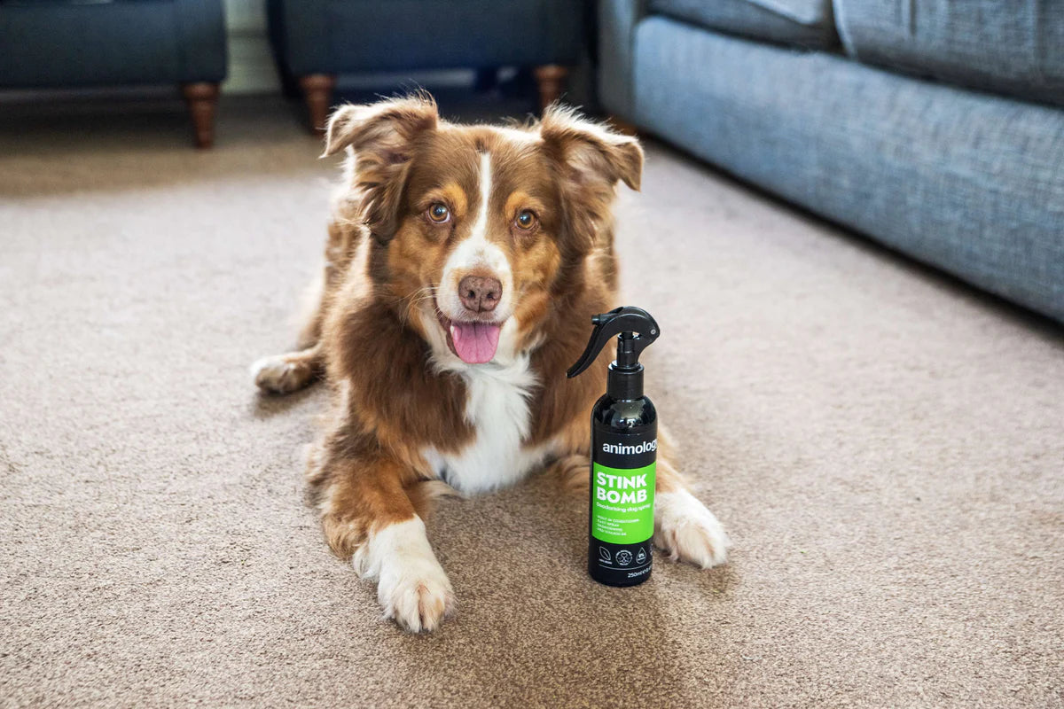 Animology Stink Bomb Refreshing Spray 250ml