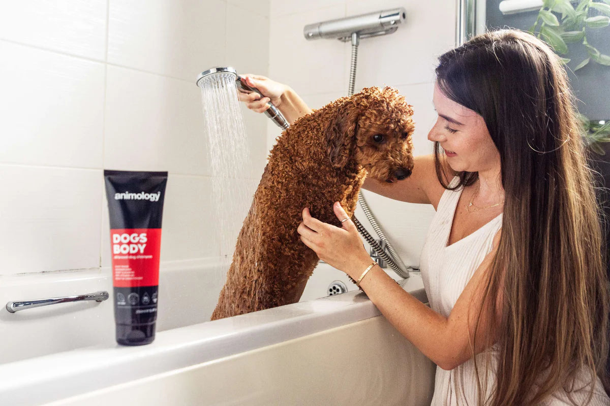 Animology Dogs Body Shampoo 250ml