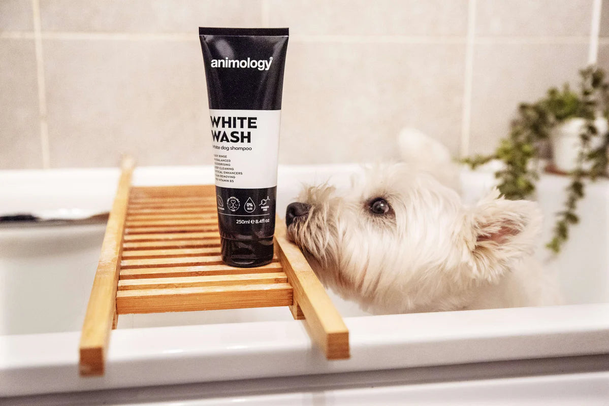 Animology White Wash Shampoo 250ml