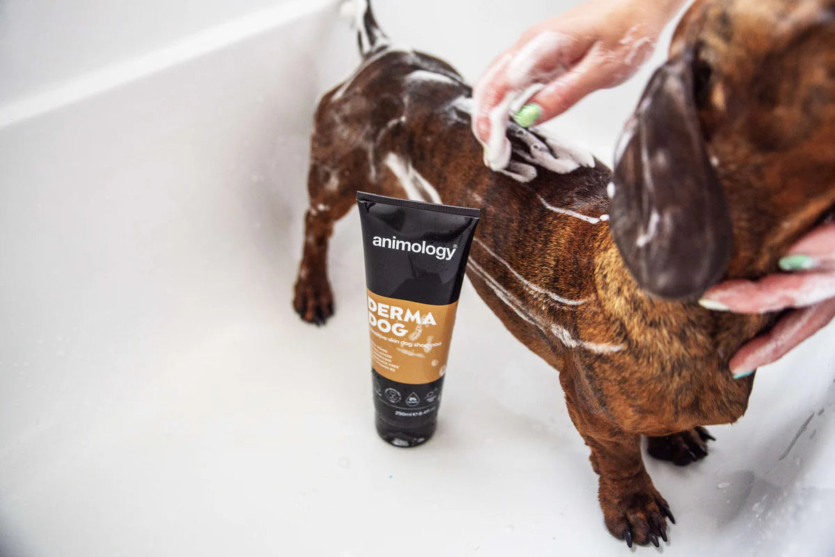 Animology Derma Dog Shampoo 250ml