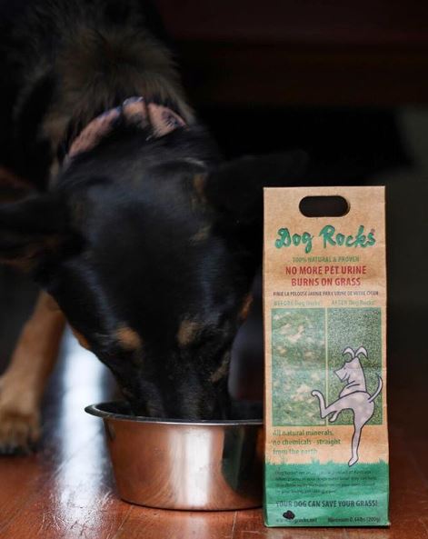 Dog Rocks 200g Pack