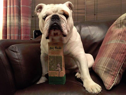 Dog Rocks 200g Pack