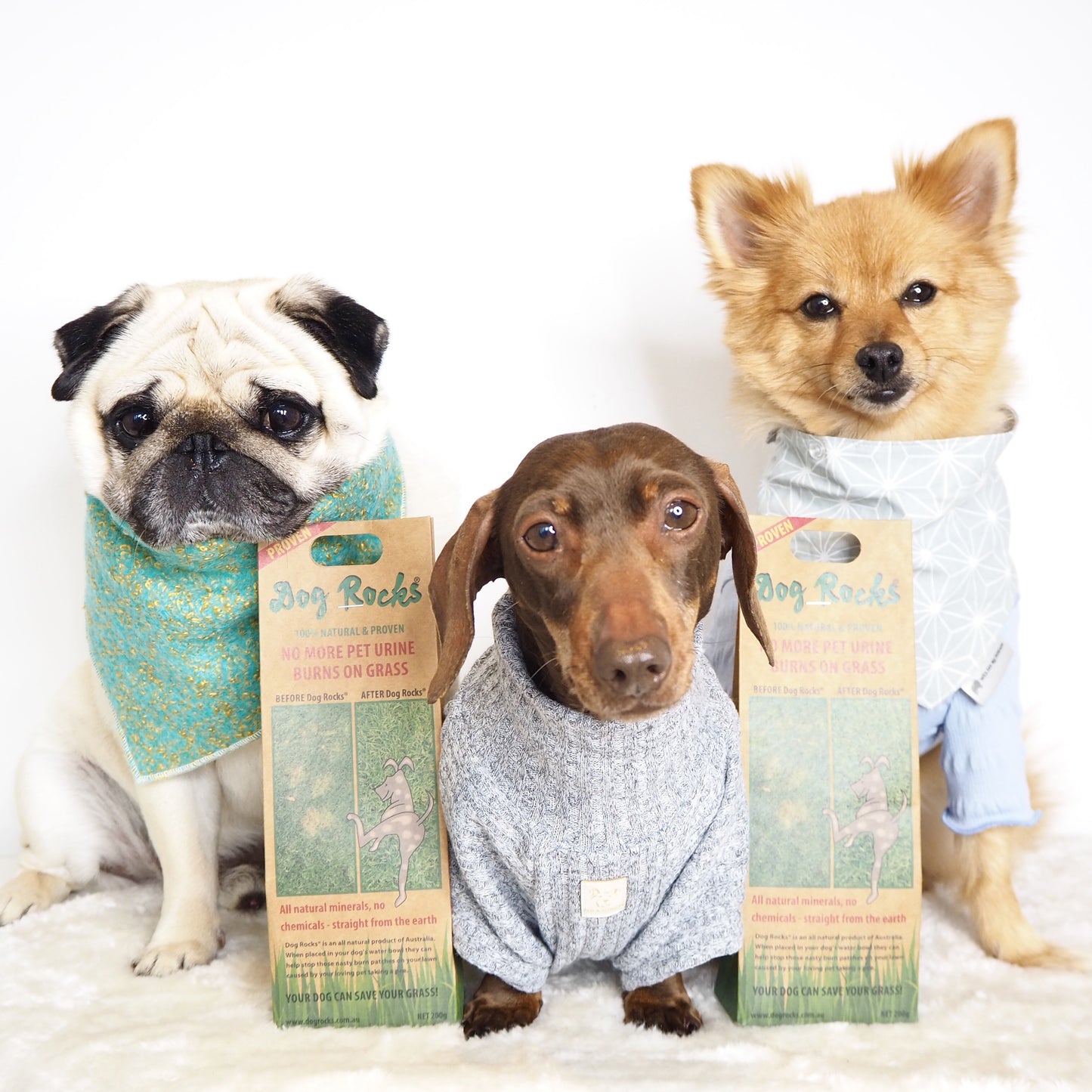 Dog Rocks 200g Pack