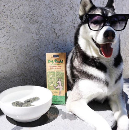 Dog Rocks 200g Pack