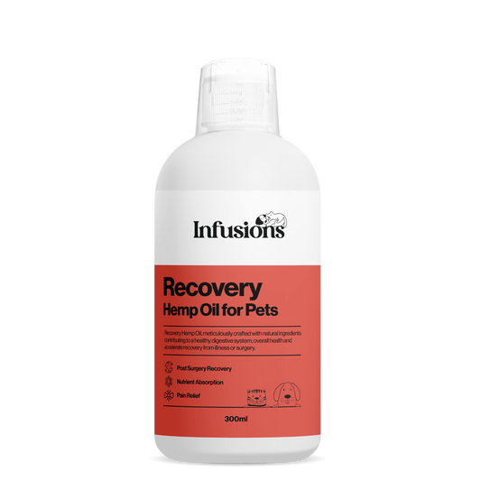 Recovery Hemp Oil For Pets