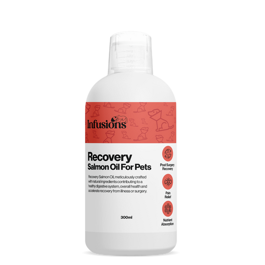 Recovery Salmon Oil For Pets