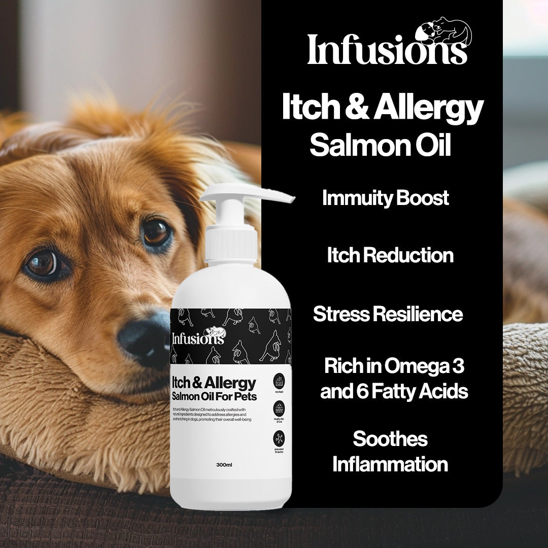 Infusions Salmon Oil Bundle