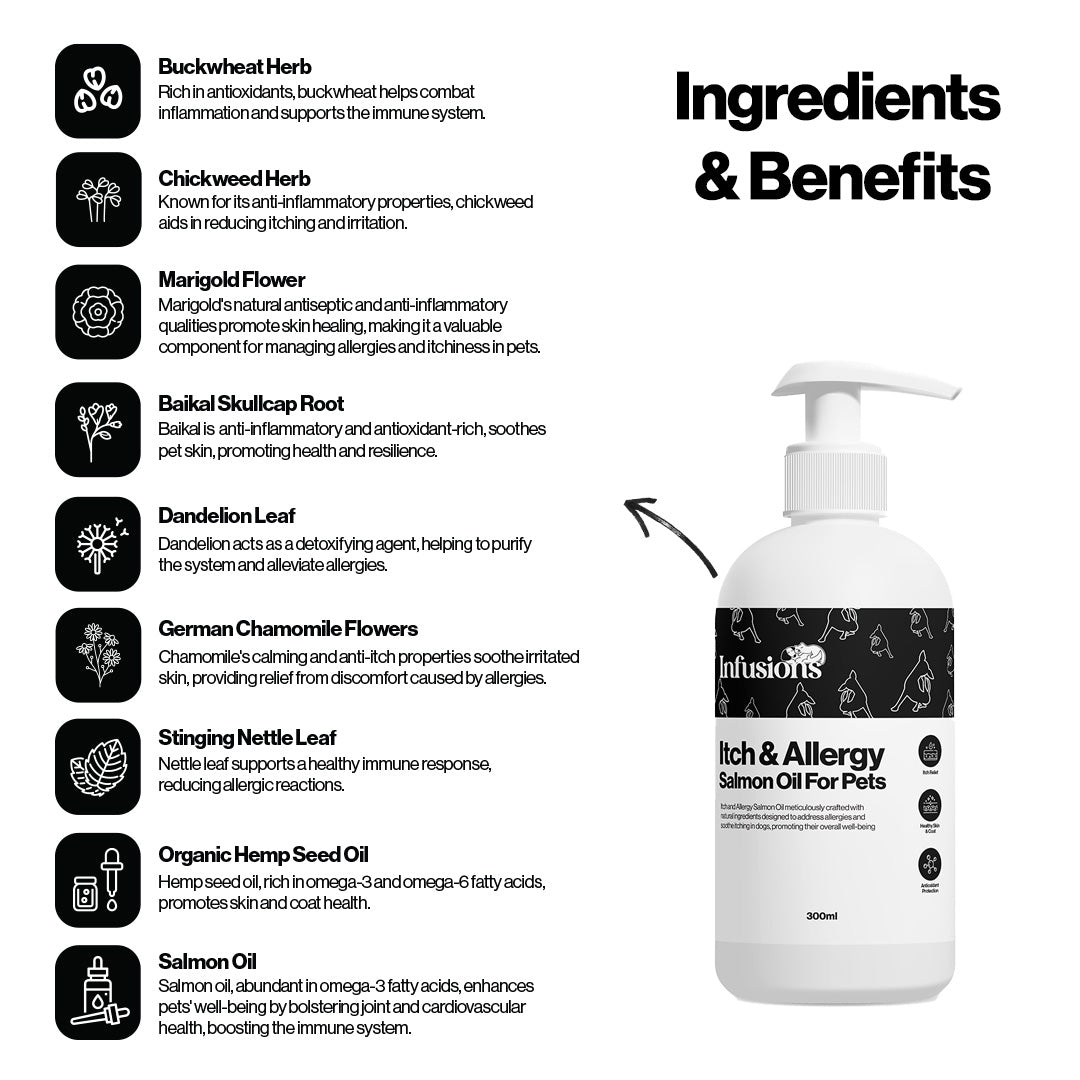 Infusions Salmon Oil Bundle