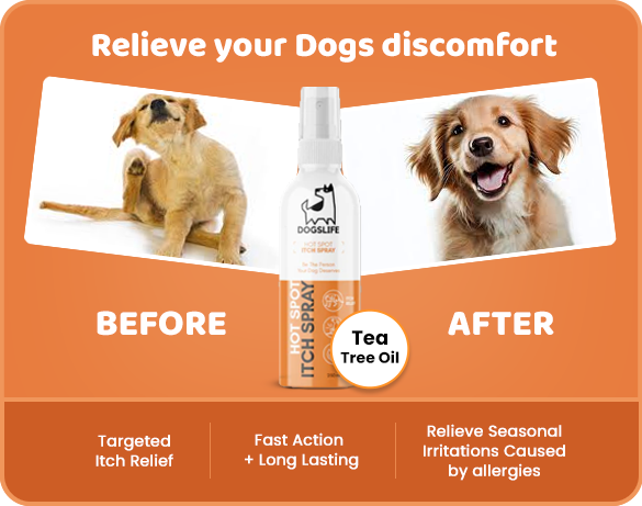 Hot spot itch relief for dogs clearance