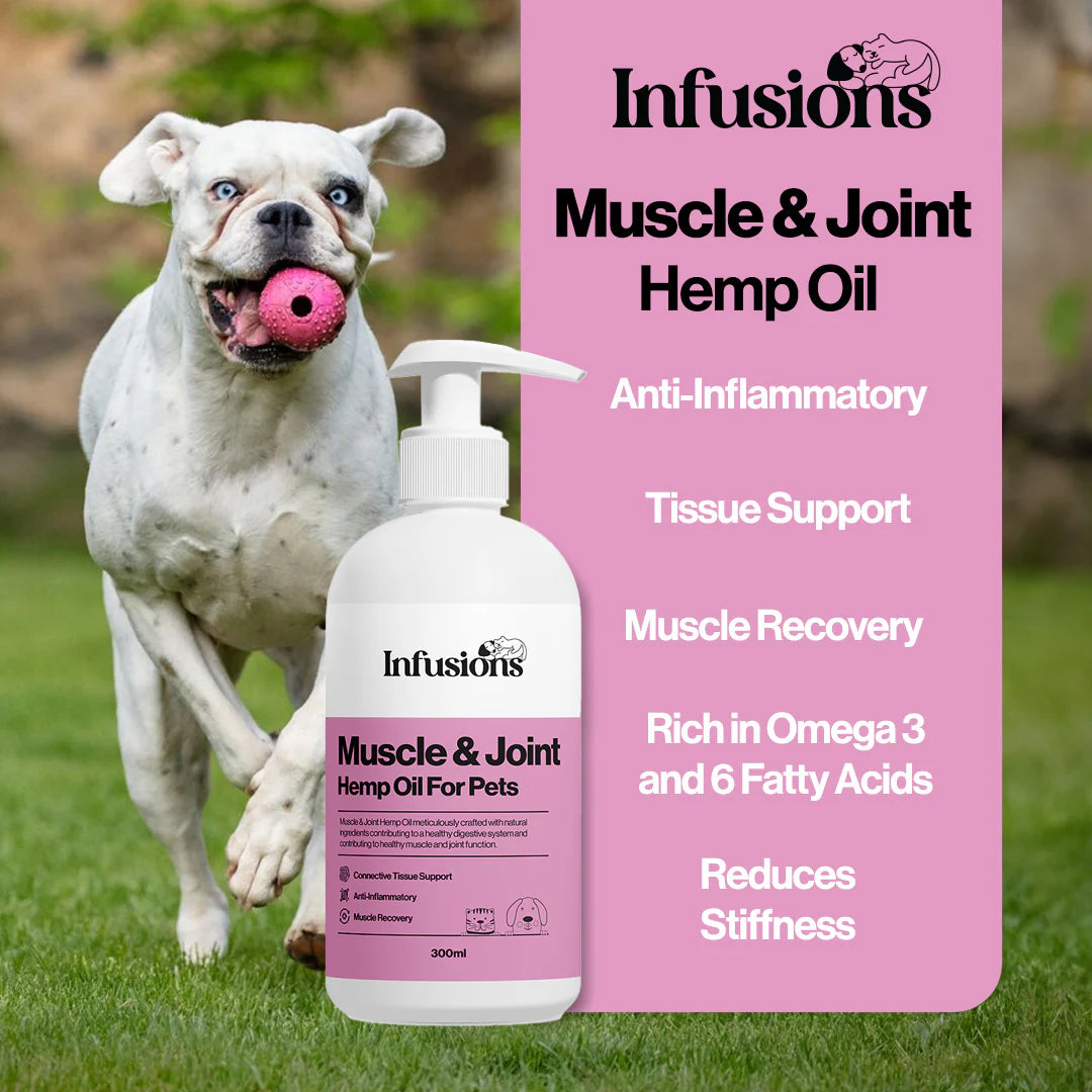 Low Calorie Muscle and Joint Complete Kit Buy Now OurPetsLife