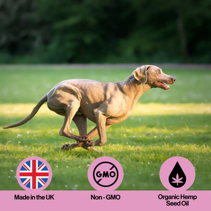 Muscle & Joint Hemp Oil For Pets