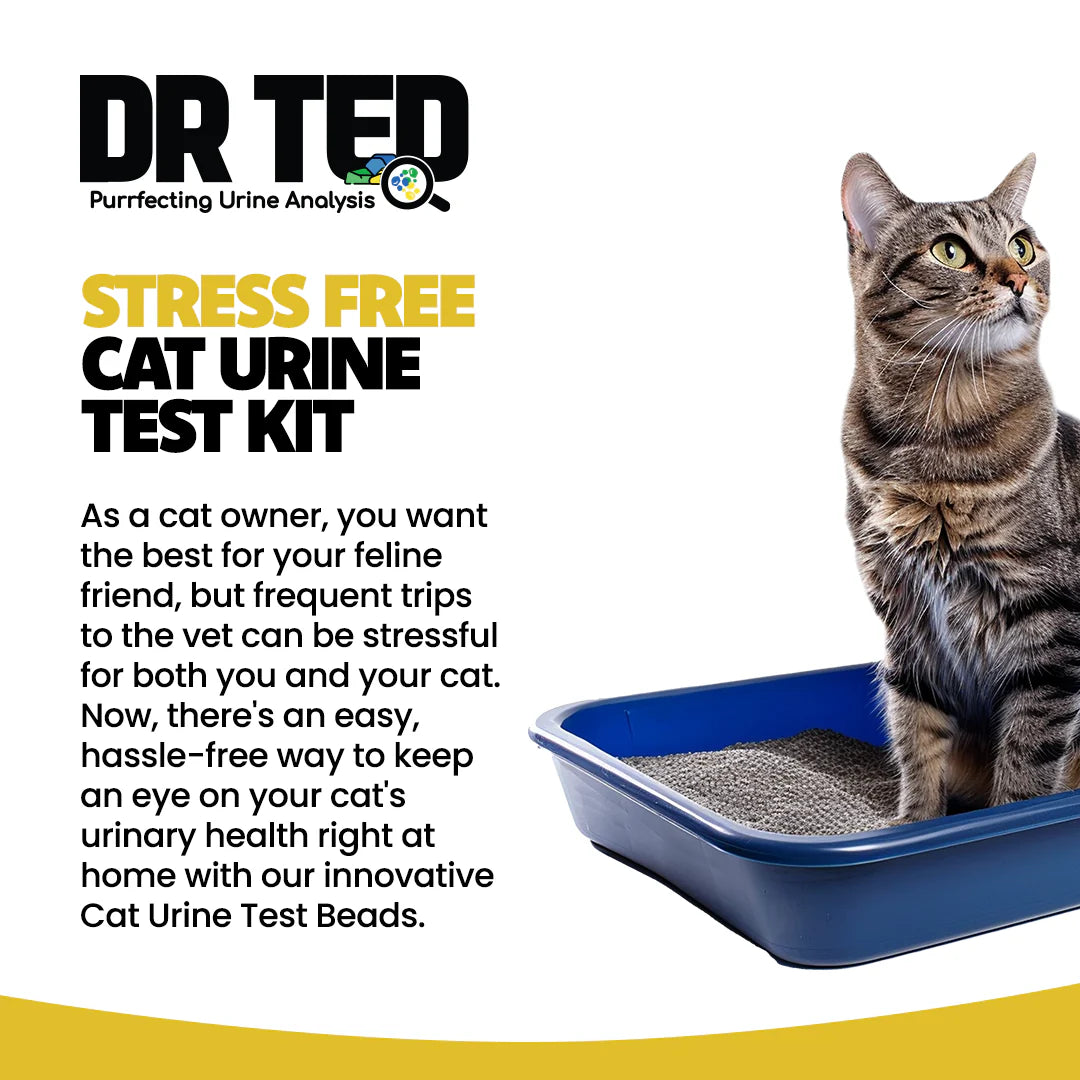 Urine Collection Diagnostic Cat Litter KIT4CAT Hydrophobic Litter