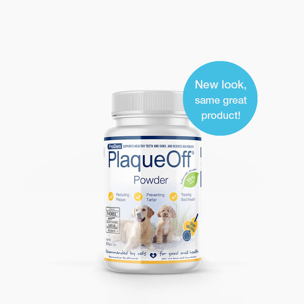 Plaqueoff powder dogs outlet