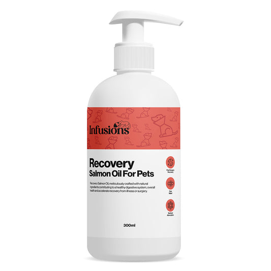 Recovery Salmon Oil For Pets