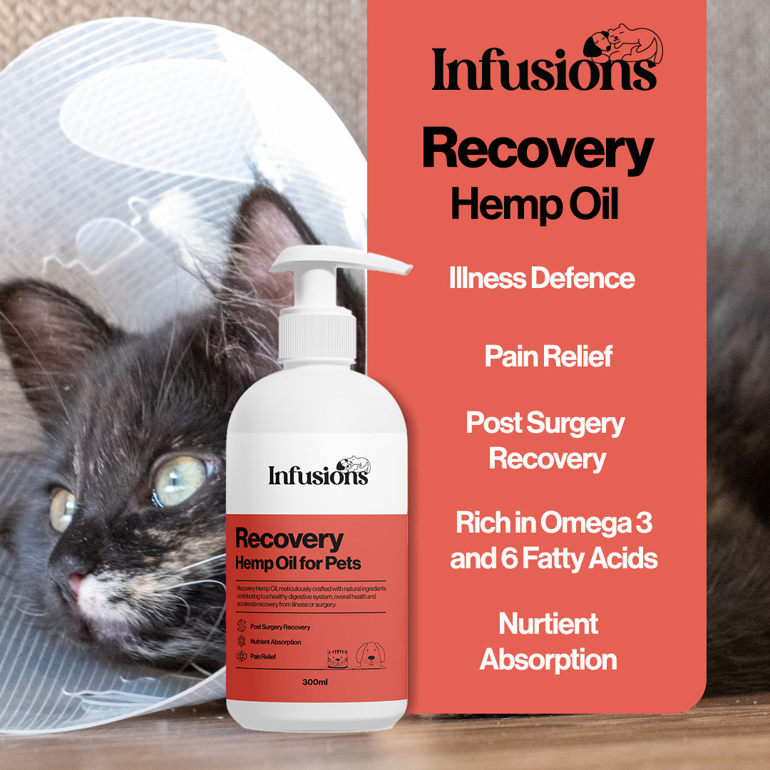 Recovery Hemp Oil For Pets