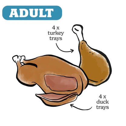 Turkey & Duck Natural Wet Dog Food - Small Dog Variety Pack 8x150g