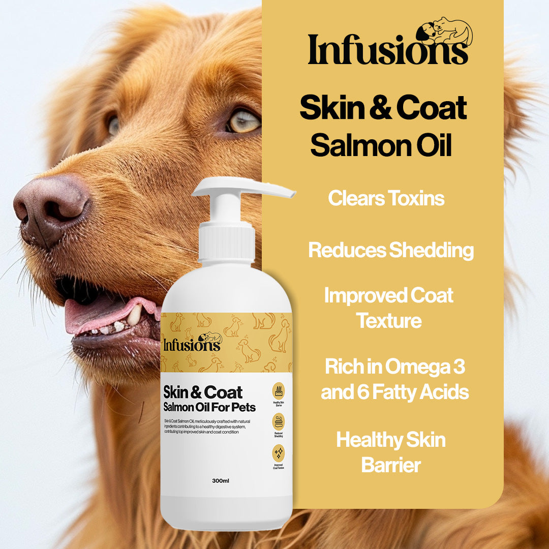 Skin & Coat Salmon Oil For Pets