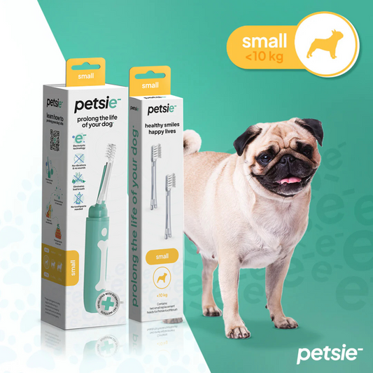 Petsie Dog Toothbrush Combo – Electrolytic Brush + Spare Head Small