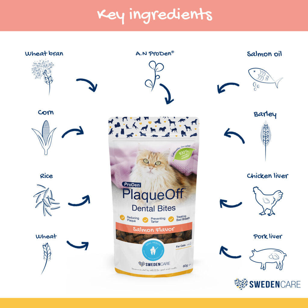 ProDen PlaqueOff Dental Bites Cats Salmon Flavour 60g