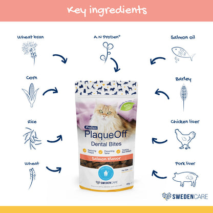 ProDen PlaqueOff Dental Bites Cats Salmon Flavour 60g