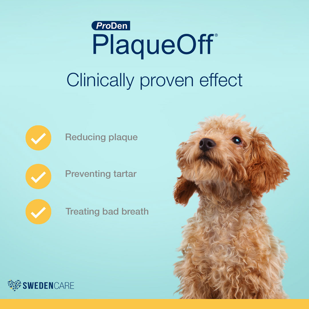 ProDen PlaqueOff® Dental Care Bones – Bacon Flavour