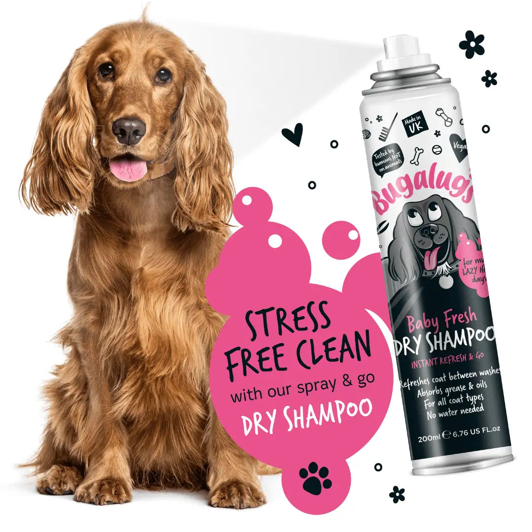 Bugalugs Baby Fresh Dog Dry Shampoo