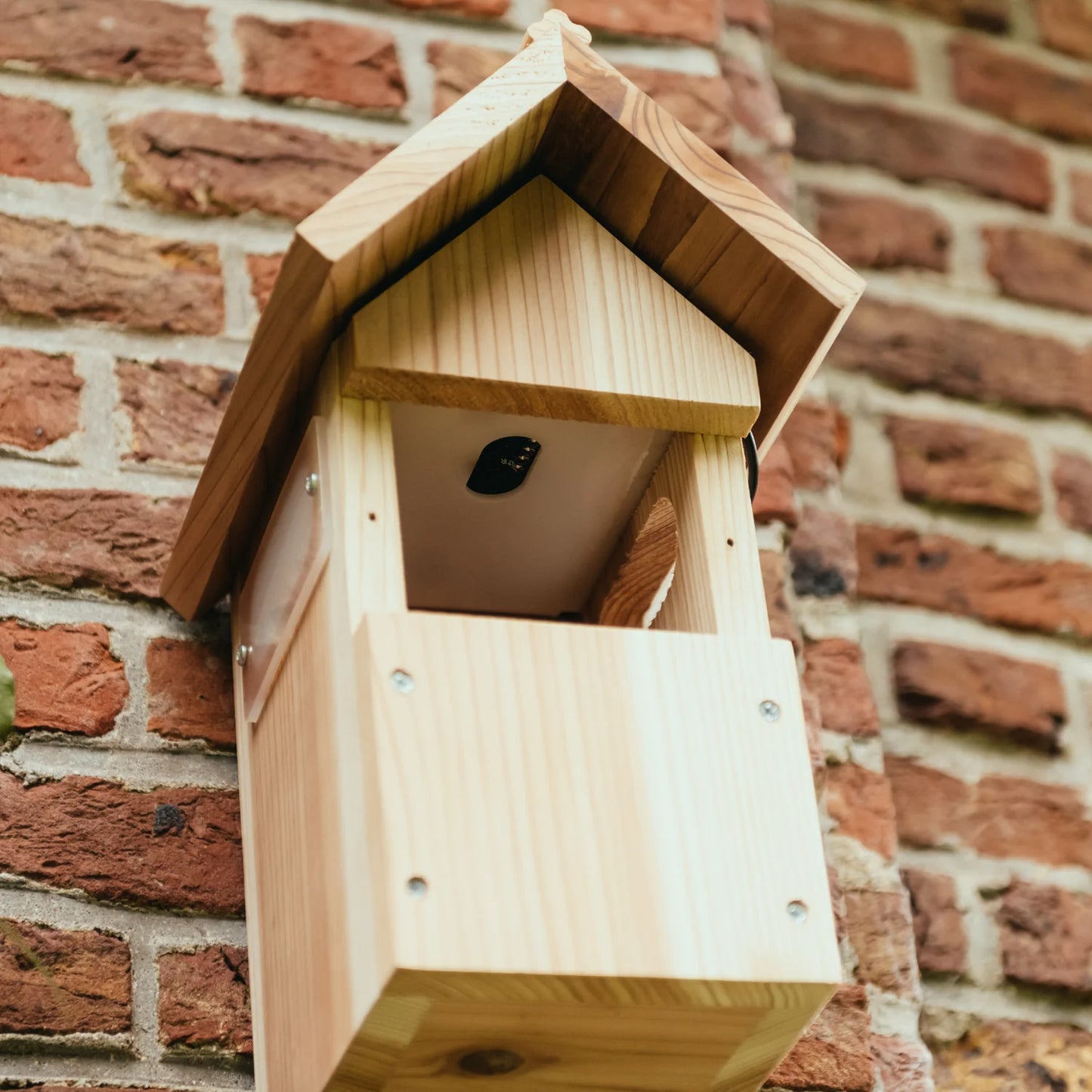 Nestera WiFi Bird Box Camera System