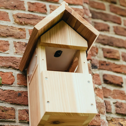 Nestera WiFi Bird Box Camera System