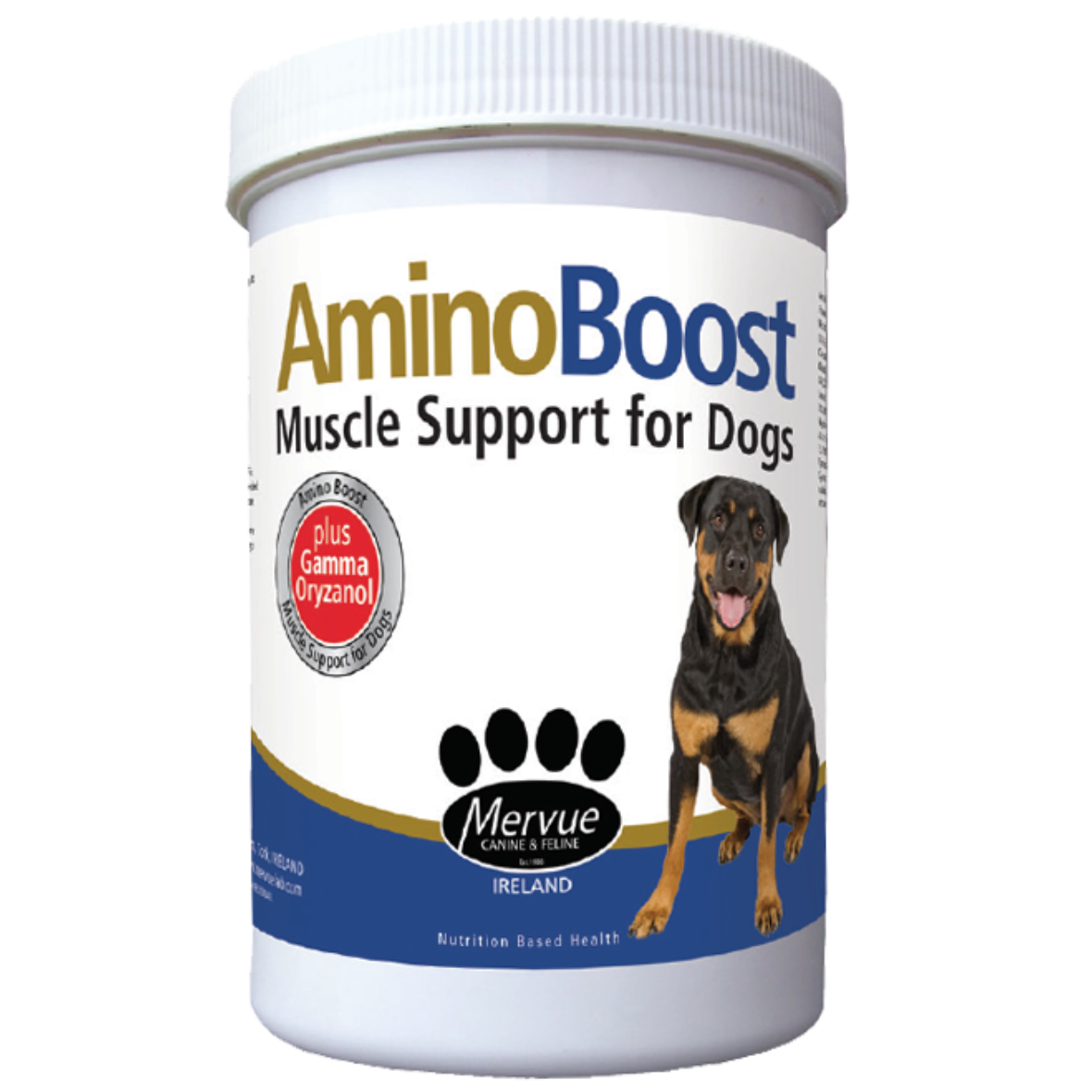 Amino Boost Powder 100g