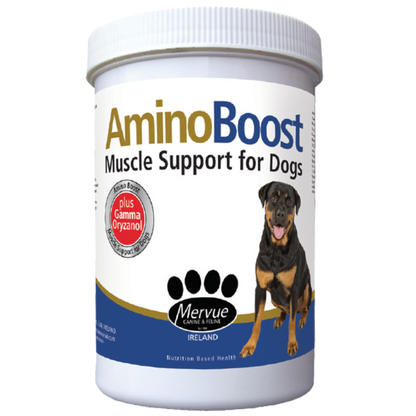 Amino Boost Powder 100g