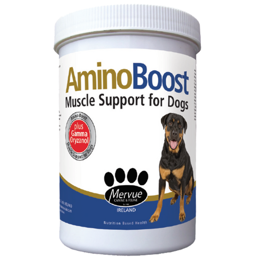 Amino Boost Powder 100g