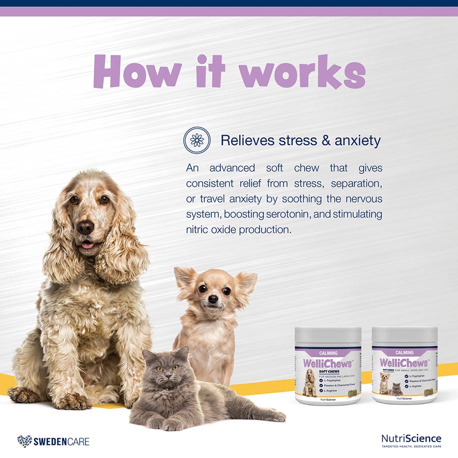 Wellichews Calming Soft Chews for Medium/Large Dogs