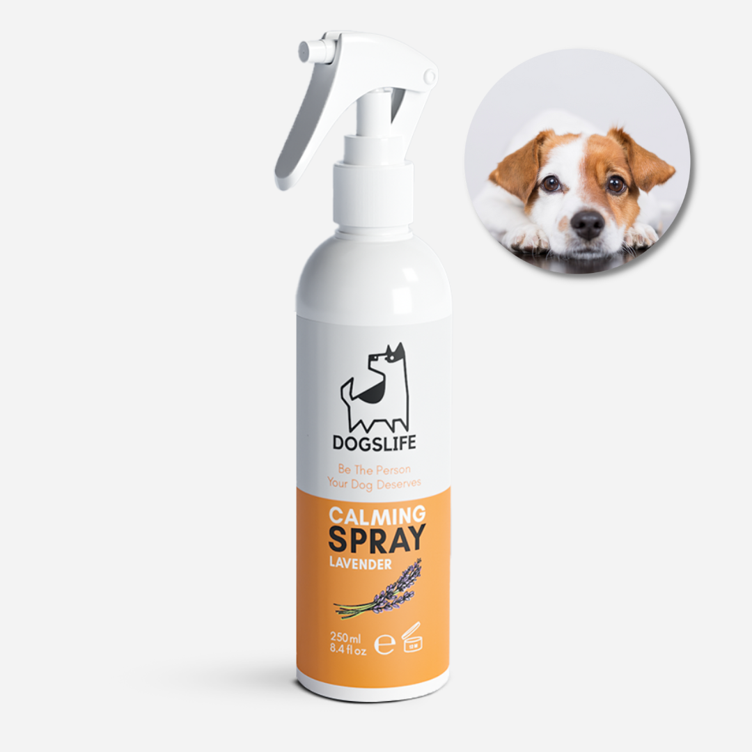 Calming Spray For Your Dog Anxiety Solution For Dogs OurPetsLife