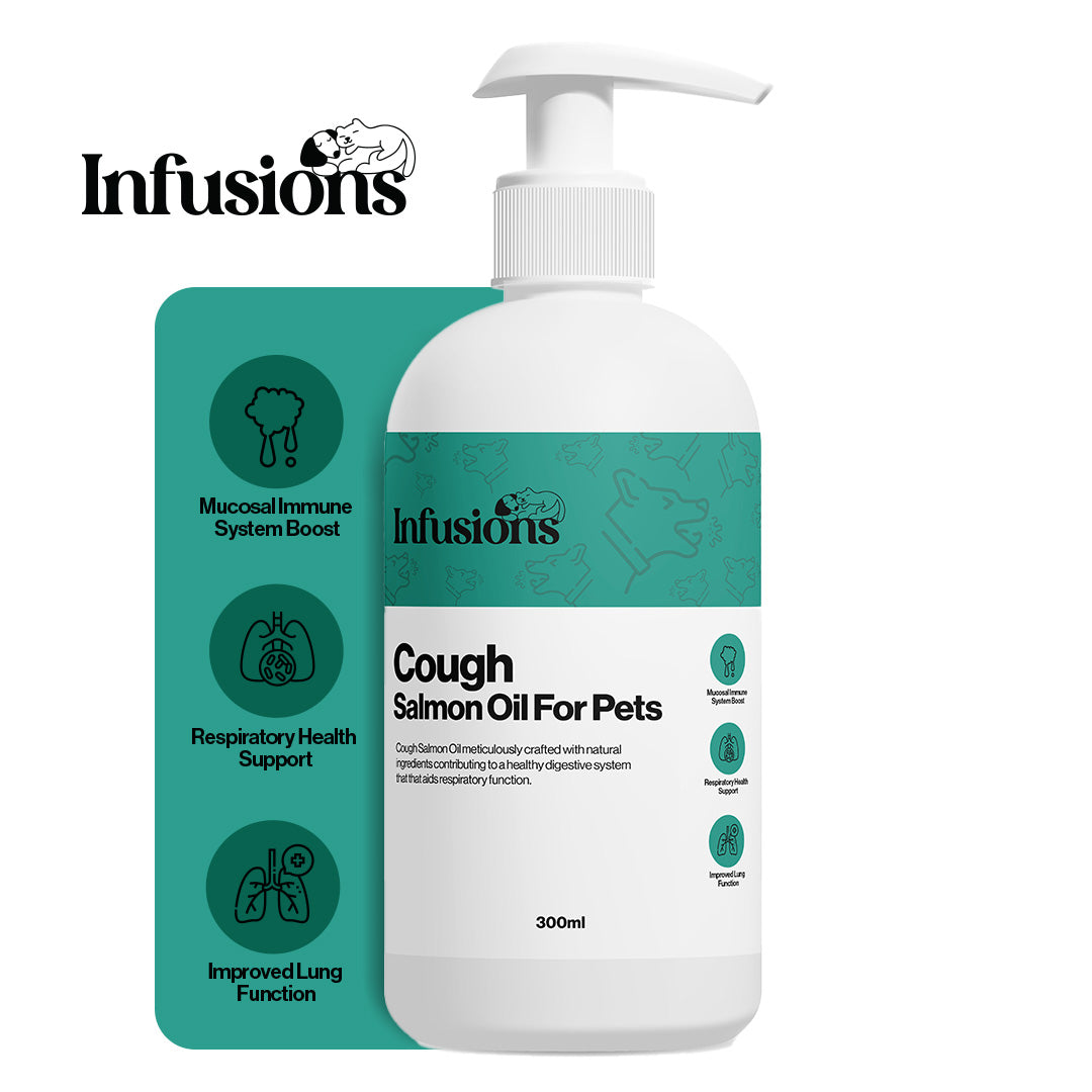 Kennel Cough Treatment Kit for Dogs