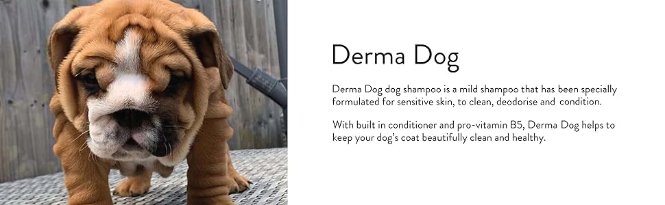 Animology Derma Dog Shampoo 250ml