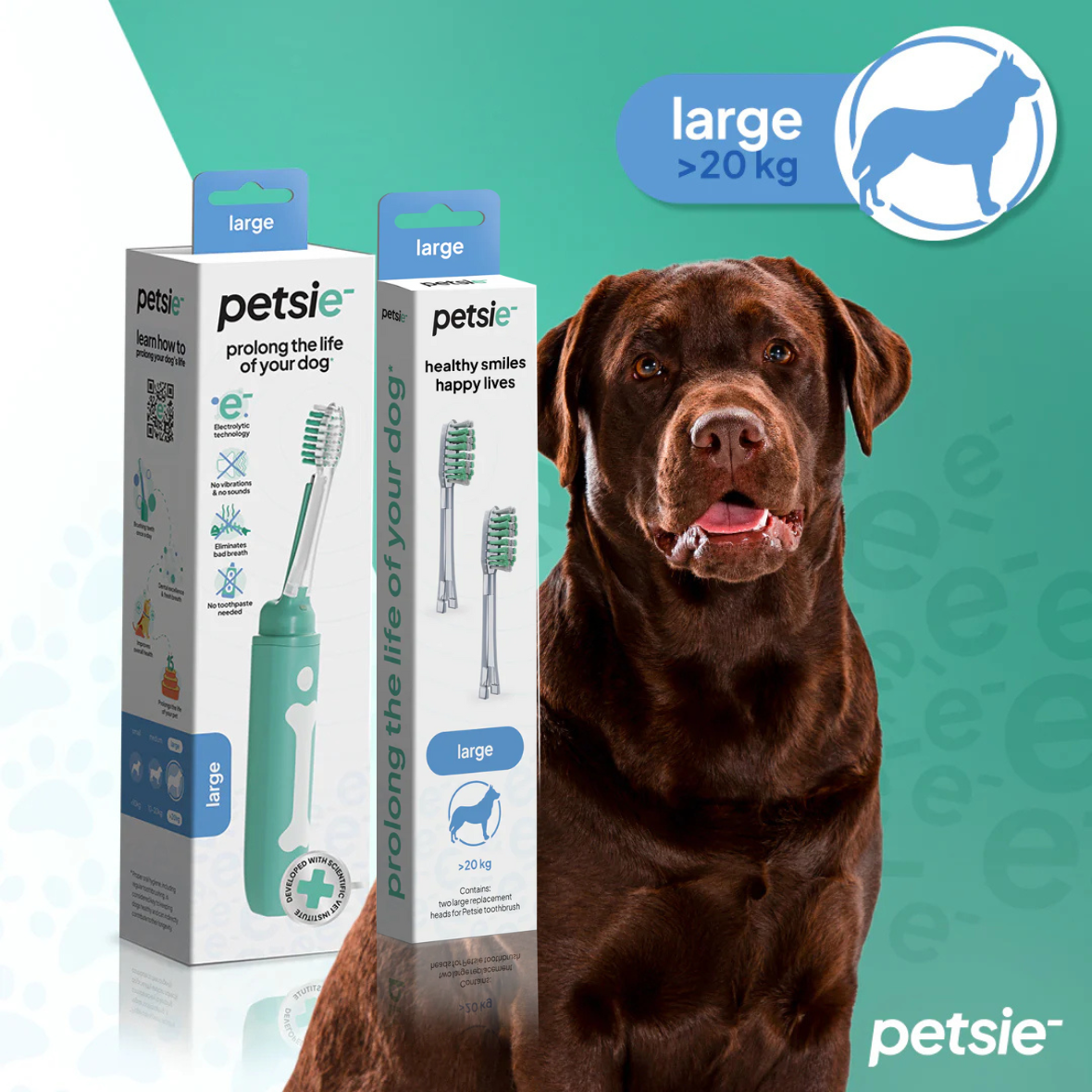 Petsie Dog Toothbrush Combo – Electrolytic Brush + Spare Head Large
