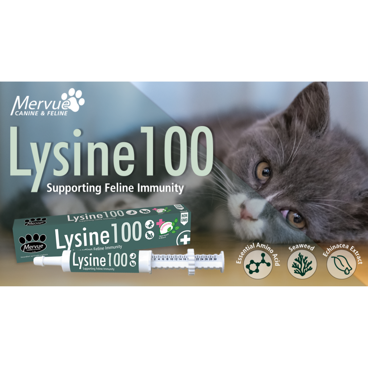Mervue Lysine 100 Paste for Cats & Kittens Bundle of 2