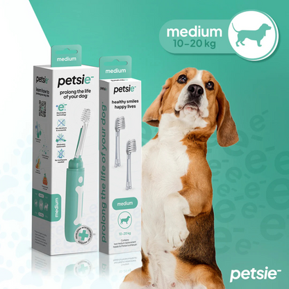 Petsie Dog Toothbrush Combo – Electrolytic Brush + Spare Head Medium