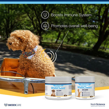 WelliChews™ Multivitamin Soft Chews for Dogs 60