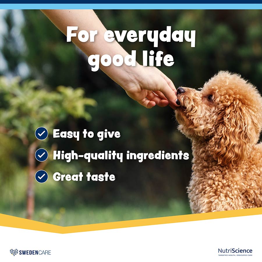 WelliChews™ Multivitamin Soft Chews for Dogs 60